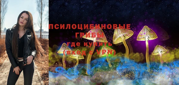 мет Аркадак