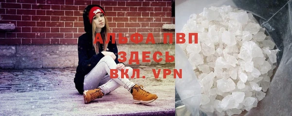 винт Арсеньев
