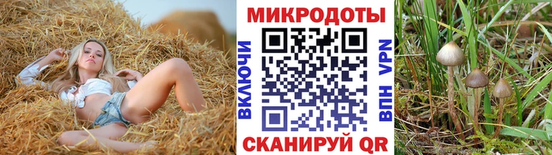 где купить   Жиздра  ОМГ ОМГ сайт  Галлюциногенные грибы Psilocybe 